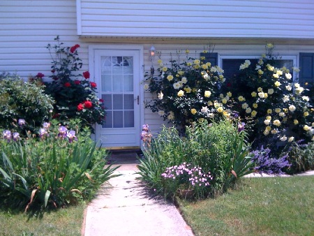 Heart And Soul Centers Front Door